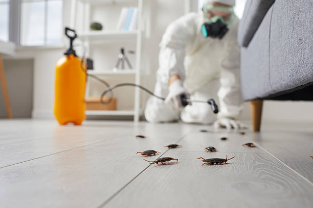 Commercial Kitchen Cockroach Control in Duquesne